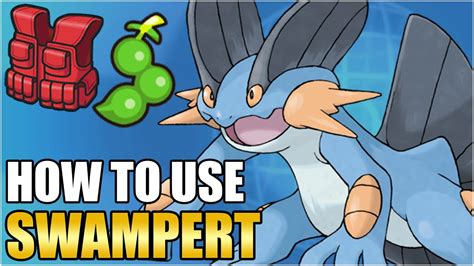 best item for swampert|swampert moveset smogon.